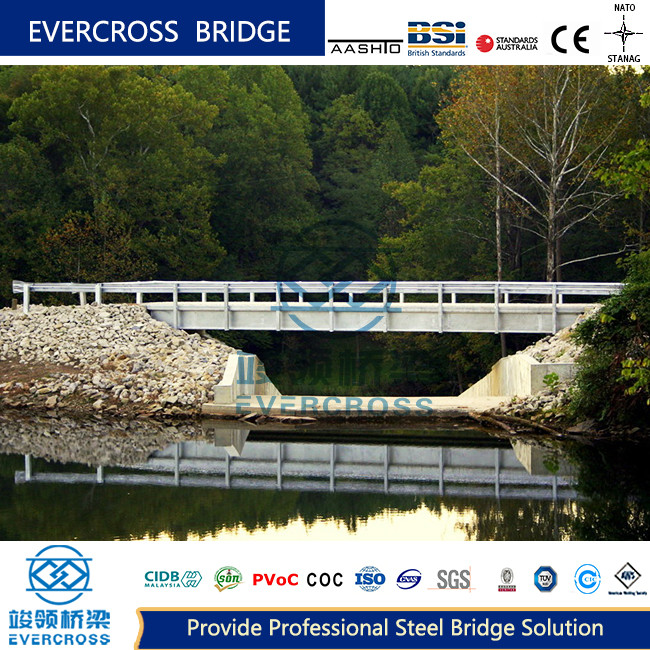 OEM Steel Plate Girder Bridge 42m Steel Suspension Bridge Simple Structure
