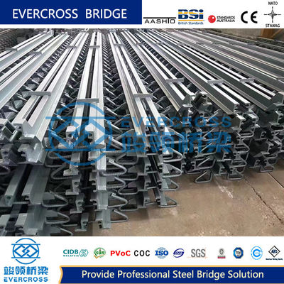 Anti-Corrosion Surface Painted Modular Expansion Joint for Public Iron Dual Purpose Bridge