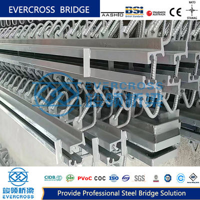 Single Modular Expansion Joint For Bridge Custom Lengths