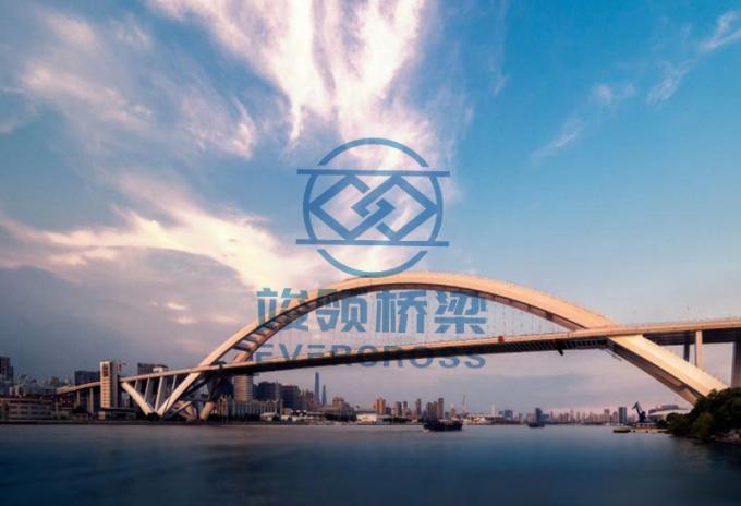 Large Span Capacity Steel Arch Bridge High Flexural Steel Walking Bridge